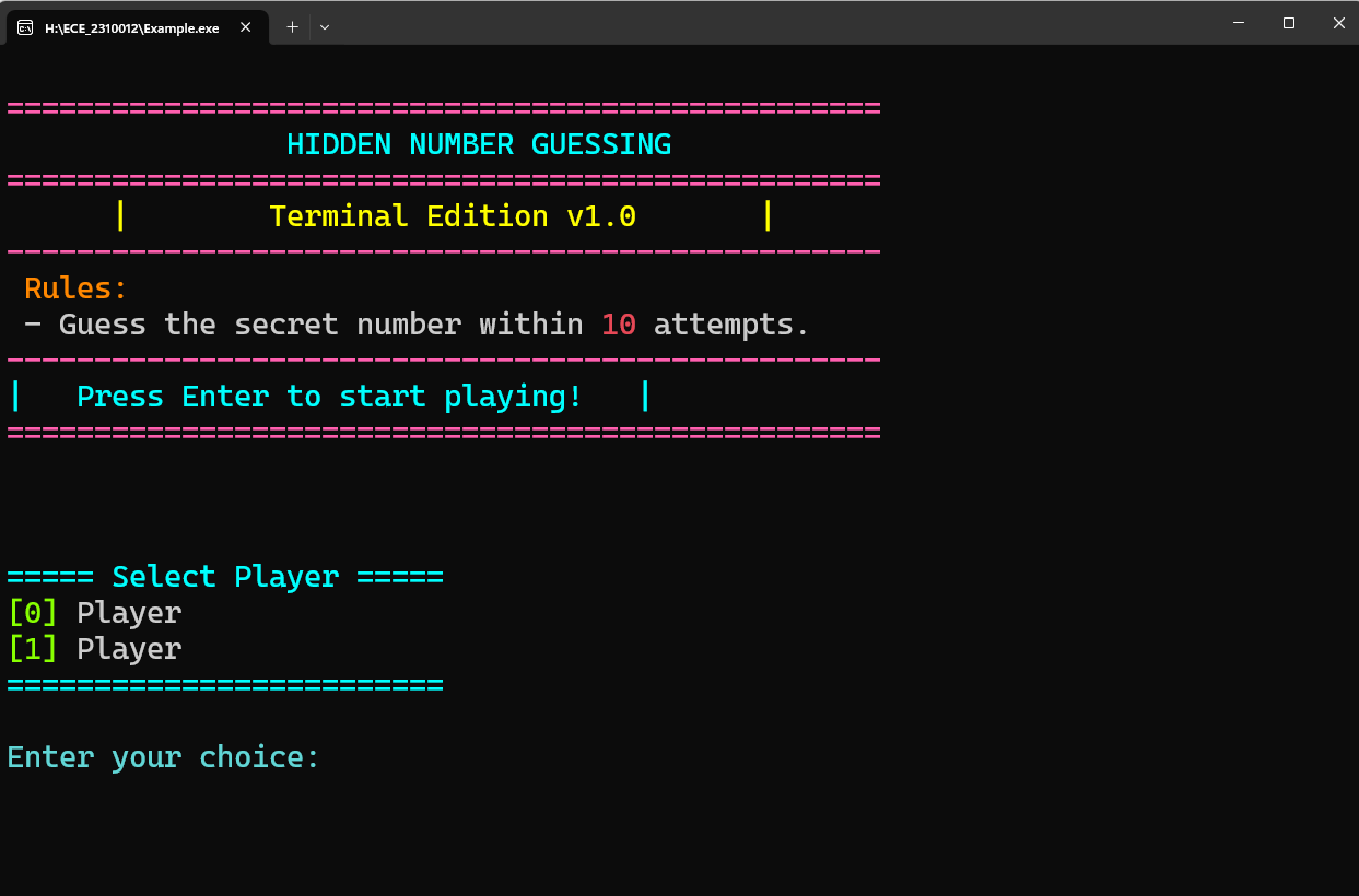 Hidden Number Guessing Output